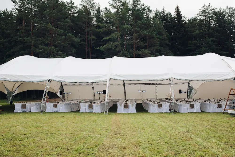 Escollir la Carpa Ideal per al teu Esdeveniment